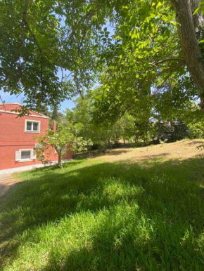 George Afra house